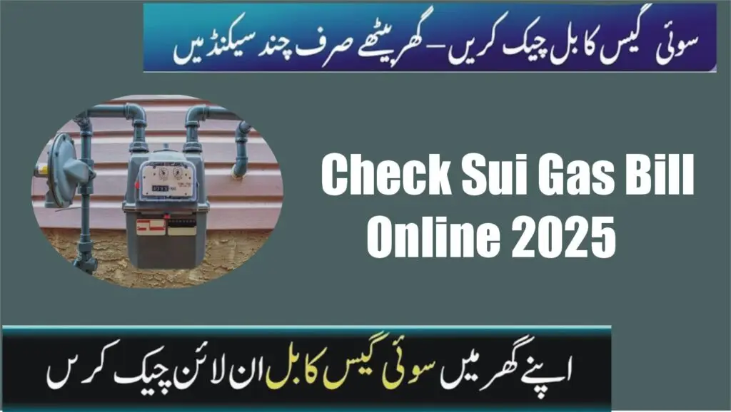 Check Your Sui Gas Bill Online 2025